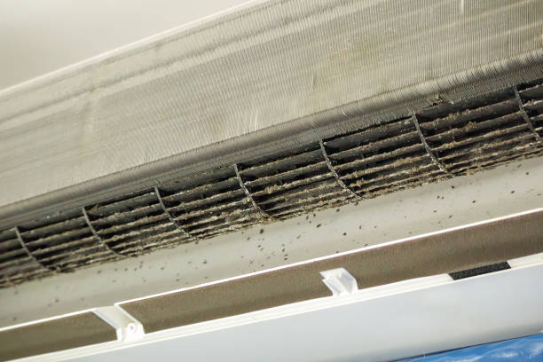 Best Air Vent Cleaning Services  in La Vale, MD